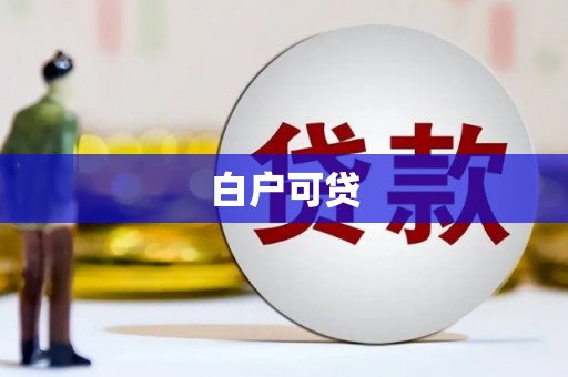 美姑白户可贷