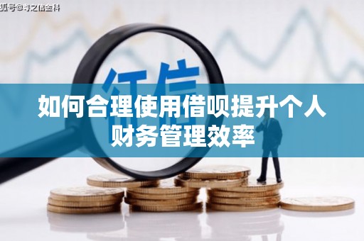 美姑如何合理使用借呗提升个人财务管理效率