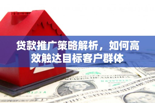 美姑贷款推广策略解析，如何高效触达目标客户群体