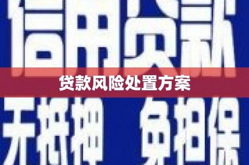 美姑贷款风险处置方案