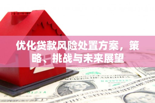 美姑优化贷款风险处置方案，策略、挑战与未来展望