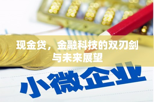 美姑现金贷，金融科技的双刃剑与未来展望