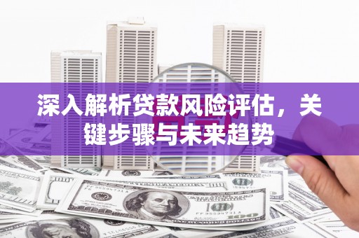 美姑深入解析贷款风险评估，关键步骤与未来趋势
