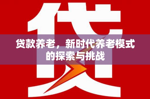 美姑贷款养老，新时代养老模式的探索与挑战