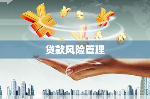 美姑贷款风险管理