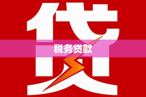 美姑税务贷款