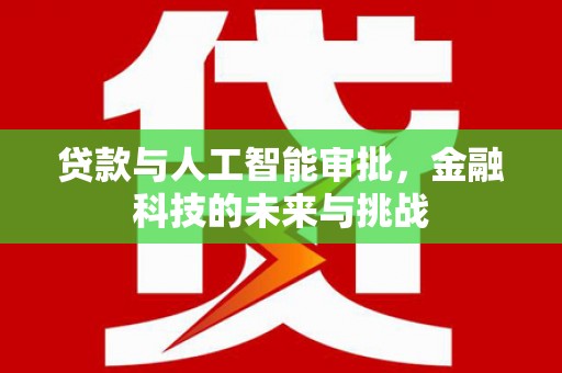 美姑贷款与人工智能审批，金融科技的未来与挑战