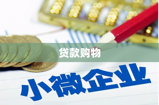 美姑贷款购物