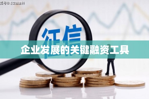 美姑企业发展的关键融资工具