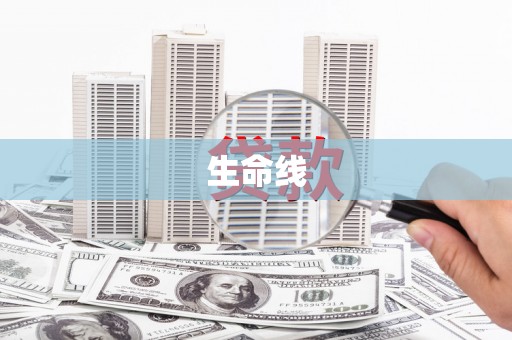 美姑生命线