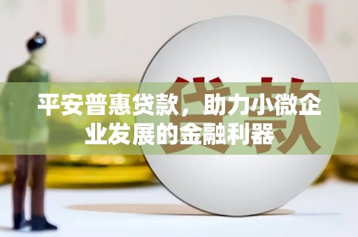 美姑平安普惠贷款，助力小微企业发展的金融利器