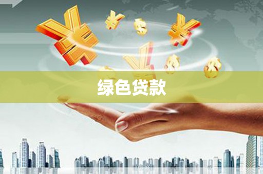 美姑绿色贷款