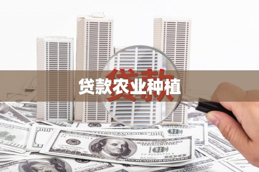 美姑贷款农业种植