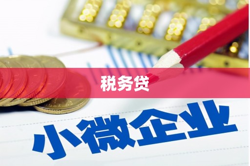 美姑税务贷