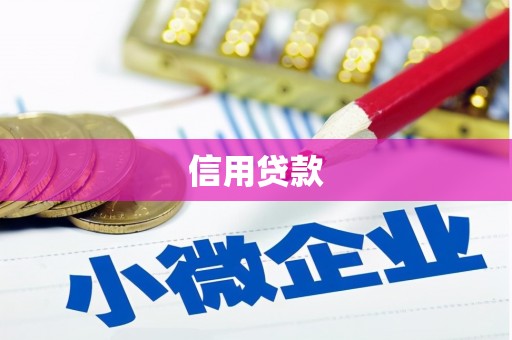 美姑信用贷款