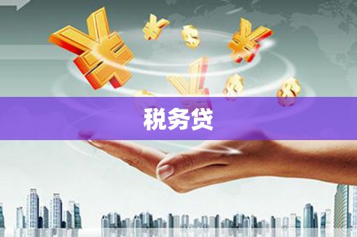 美姑税务贷