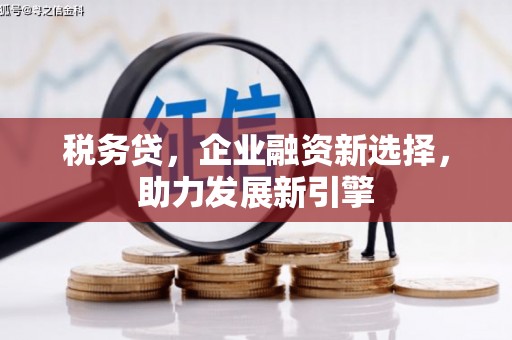 美姑税务贷，企业融资新选择，助力发展新引擎