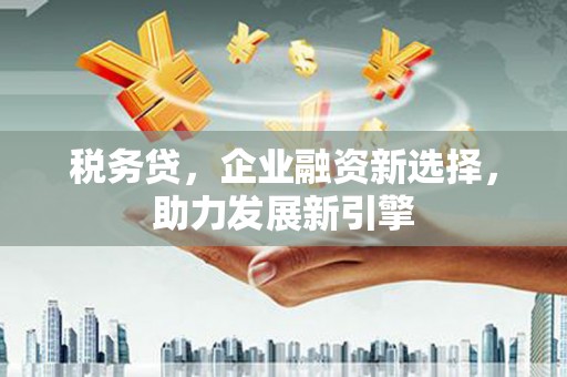 美姑税务贷，企业融资新选择，助力发展新引擎