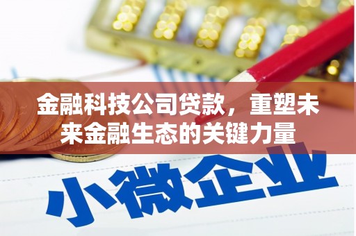 美姑金融科技公司贷款，重塑未来金融生态的关键力量