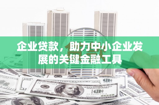 美姑企业贷款，助力中小企业发展的关键金融工具