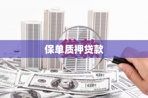 美姑保单质押贷款