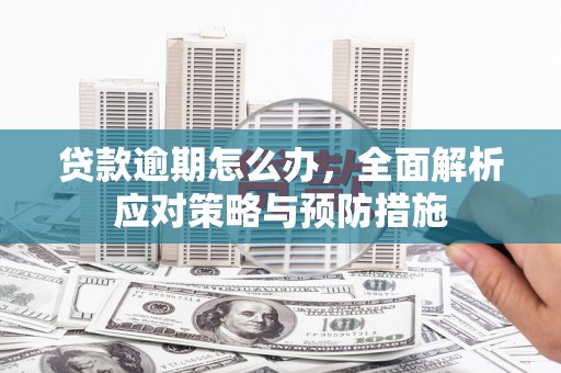 美姑贷款逾期怎么办，全面解析应对策略与预防措施