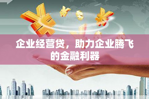美姑企业经营贷，助力企业腾飞的金融利器
