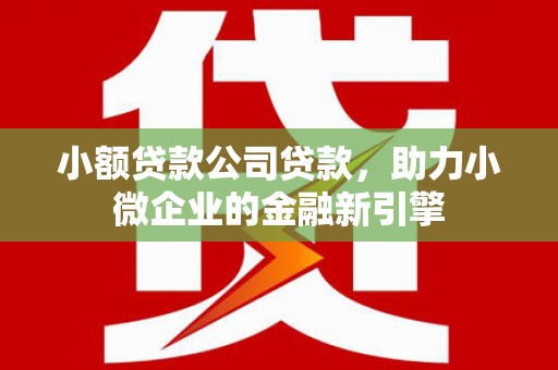 美姑小额贷款公司贷款，助力小微企业的金融新引擎