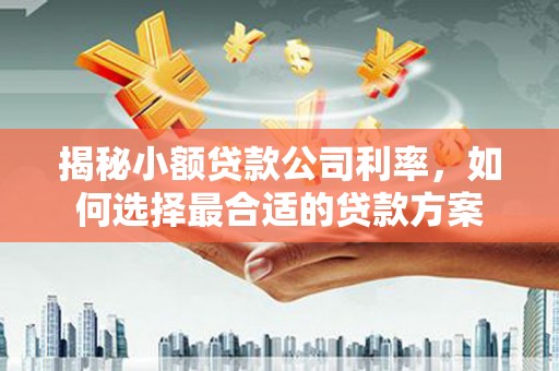美姑揭秘小额贷款公司利率，如何选择最合适的贷款方案