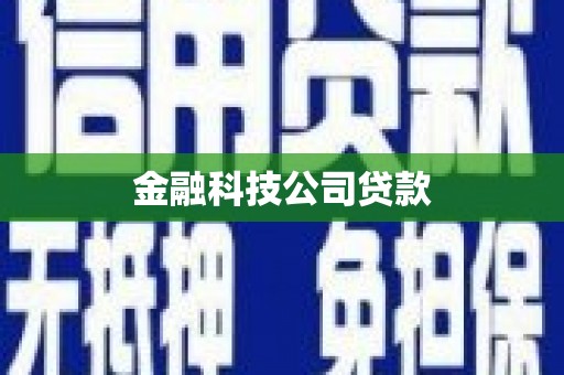 美姑金融科技公司贷款