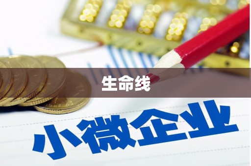 美姑生命线