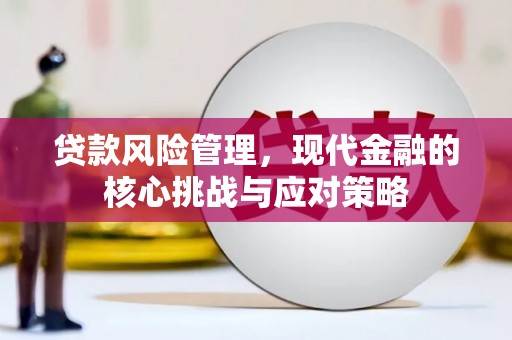 美姑贷款风险管理，现代金融的核心挑战与应对策略