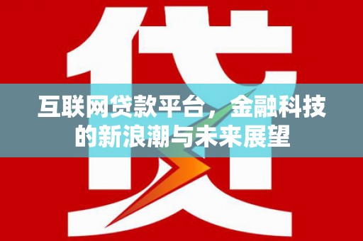 美姑互联网贷款平台，金融科技的新浪潮与未来展望