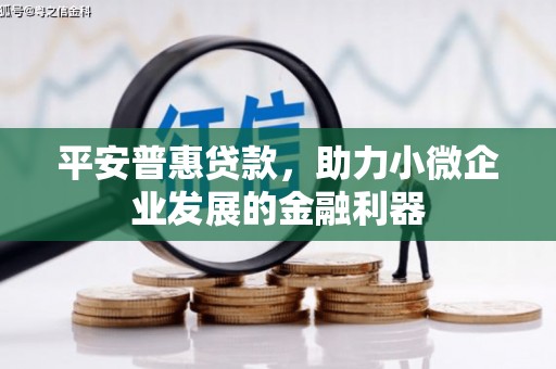 美姑平安普惠贷款，助力小微企业发展的金融利器