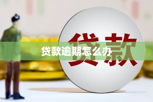 美姑贷款逾期怎么办