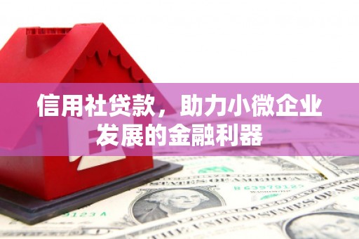 美姑信用社贷款，助力小微企业发展的金融利器