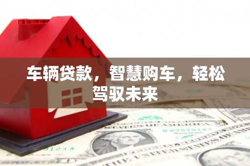美姑车辆贷款，智慧购车，轻松驾驭未来