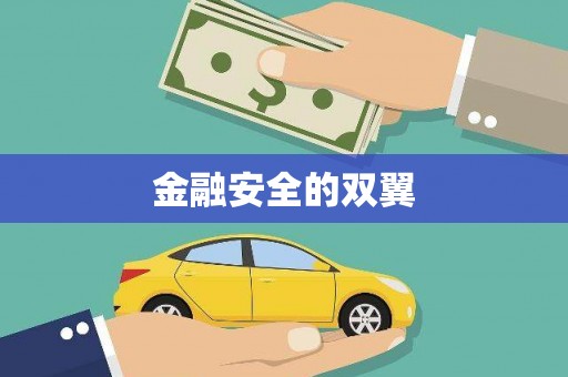 美姑金融安全的双翼