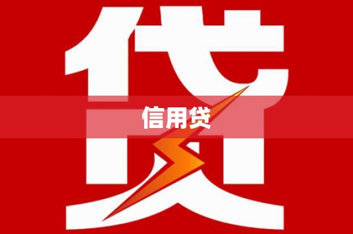 美姑信用贷