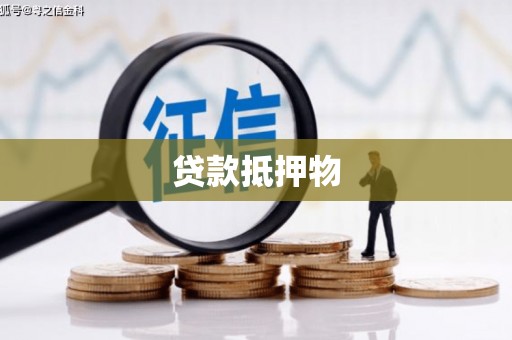 美姑贷款抵押物