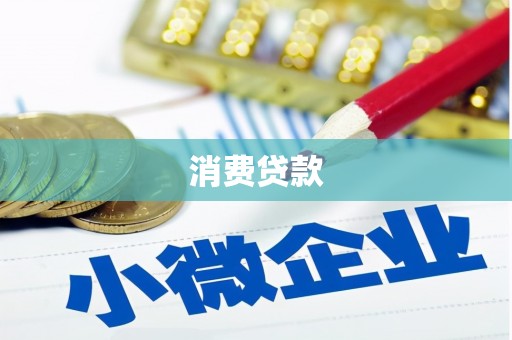 美姑消费贷款