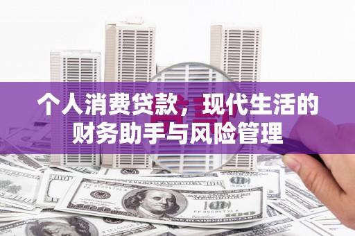美姑个人消费贷款，现代生活的财务助手与风险管理