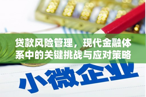 美姑贷款风险管理，现代金融体系中的关键挑战与应对策略