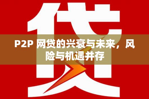 美姑P2P 网贷的兴衰与未来，风险与机遇并存