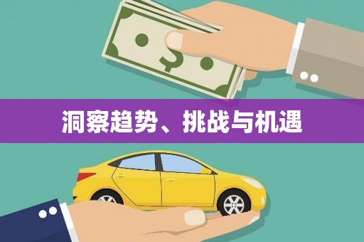 美姑洞察趋势、挑战与机遇