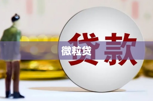 美姑微粒贷