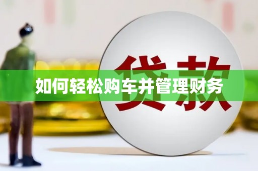 美姑如何轻松购车并管理财务