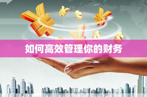 美姑如何高效管理你的财务