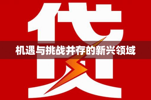美姑机遇与挑战并存的新兴领域