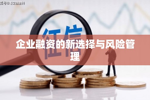 美姑企业融资的新选择与风险管理